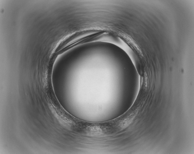 X0000086960588200704161521