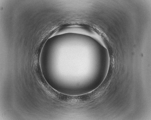 X0000086960593200704161520