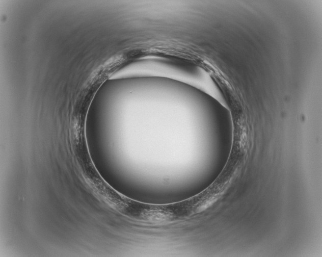 X0000086960597200704161520