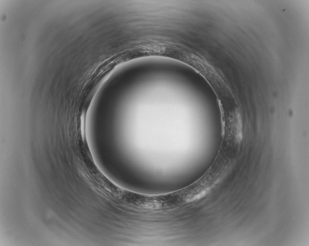 X0000086960600200704161520