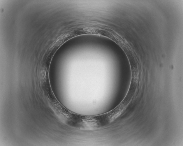 X0000086960603200704161520