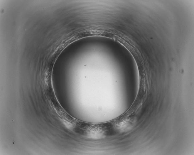 X0000086960604200704161520