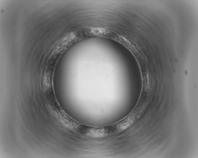 X0000086960606200704161520