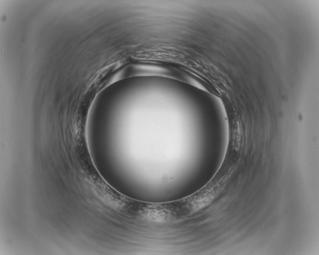 X0000086960608200704161520