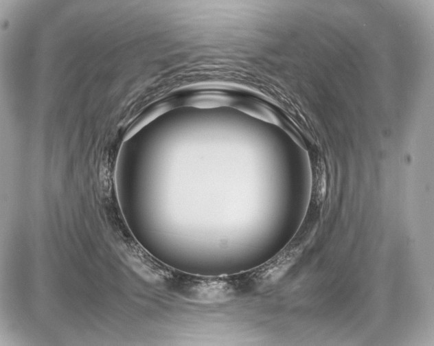 X0000086960609200704161520