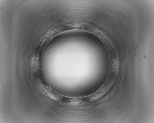 X0000086960612200704161520