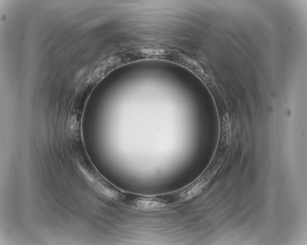 X0000086960614200704161520