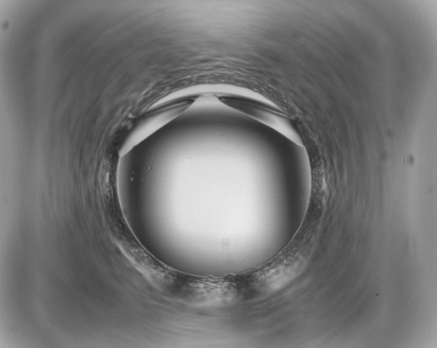 X0000086960615200704161520