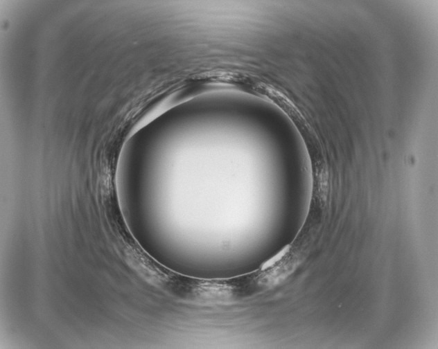 X0000086960617200704161520