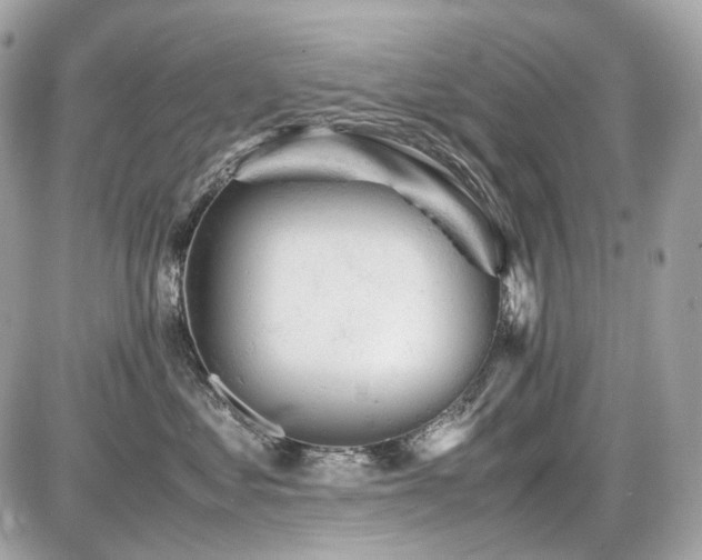 X0000086960621200704161520