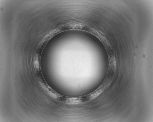 X0000086960622200704161520