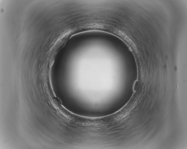 X0000086960625200704161519