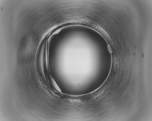 X0000086960628200704161519
