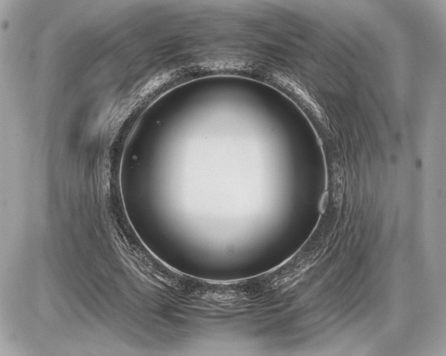 X0000086960631200704161519