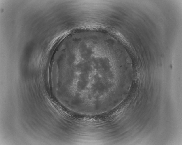 X0000086960640200704161519