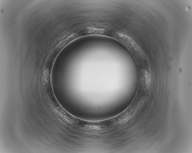 X0000086960649200704161520
