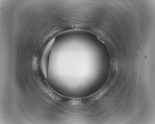 X0000086960660200704161520