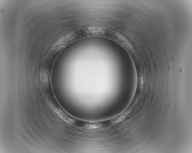 X0000086960662200704161520