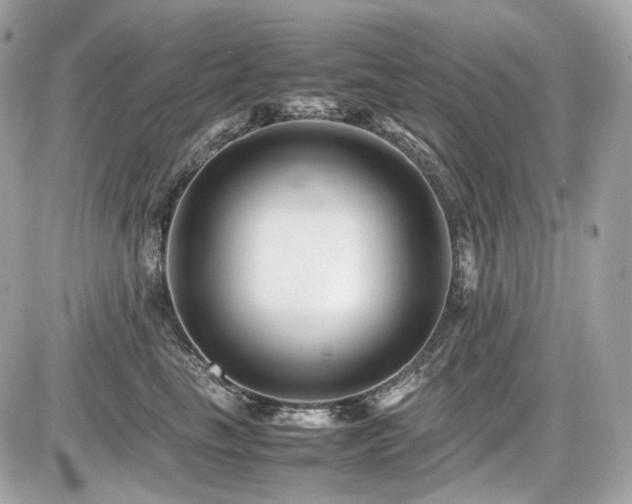 X0000086960665200704161520