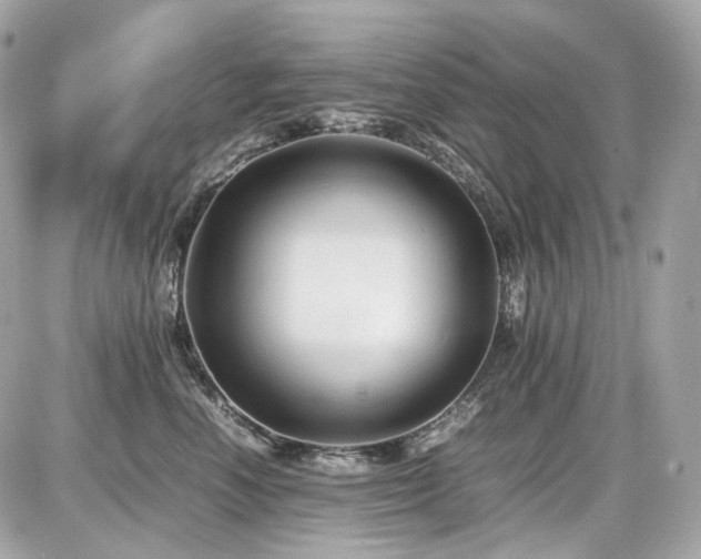 X0000086960666200704161520