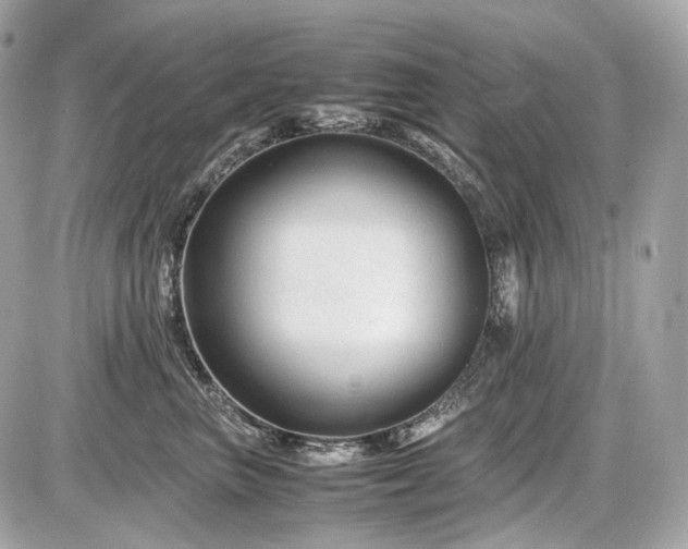 X0000086960667200704161520