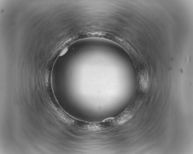X0000086960668200704161520