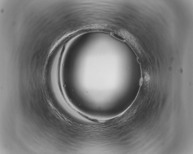 X0000086960676200704161519