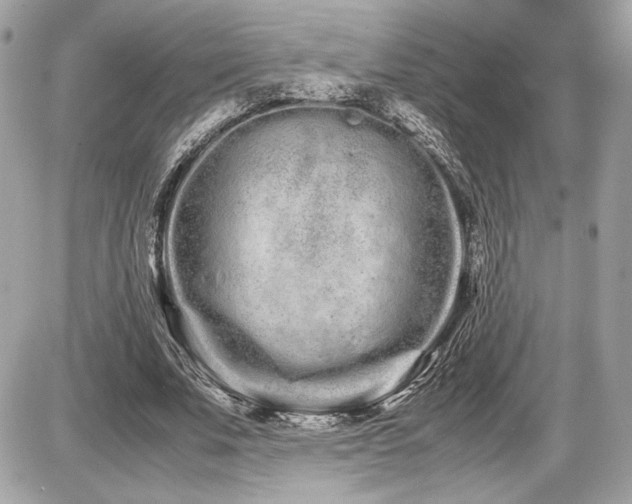 X0000086960679200704161519