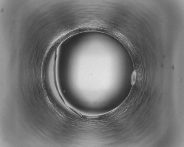 X0000086960680200704161519