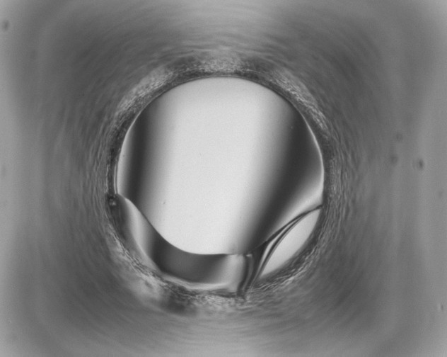 X0000086960681200704161519