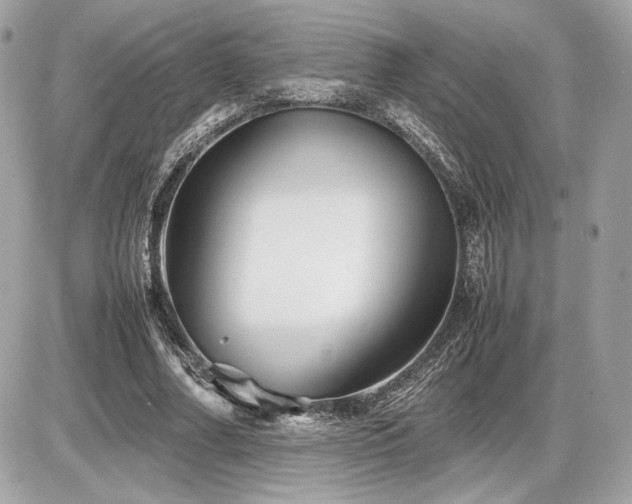 X0000086960682200704161519