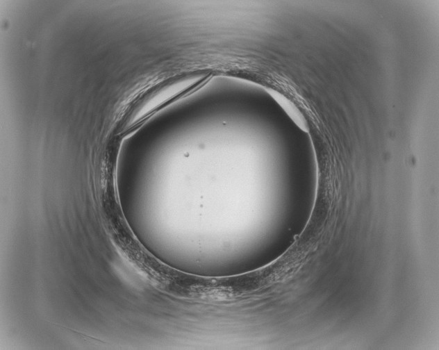 X0000086960683200704161519