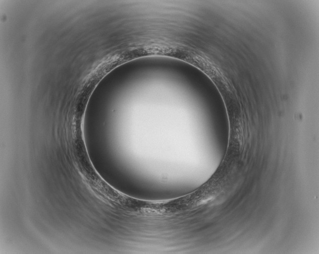 X0000086960690200704161519