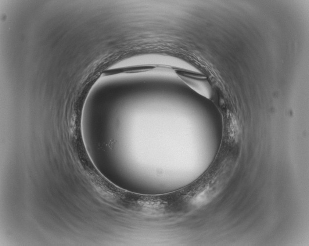 X0000086960693200704161519