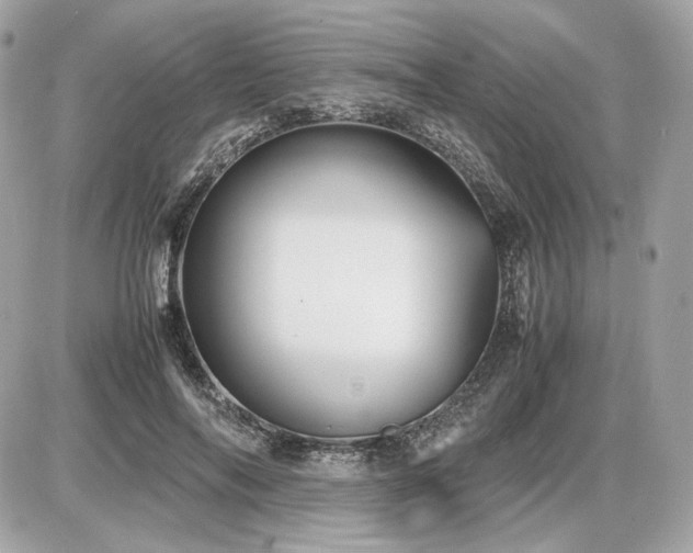 X0000086960694200704161519