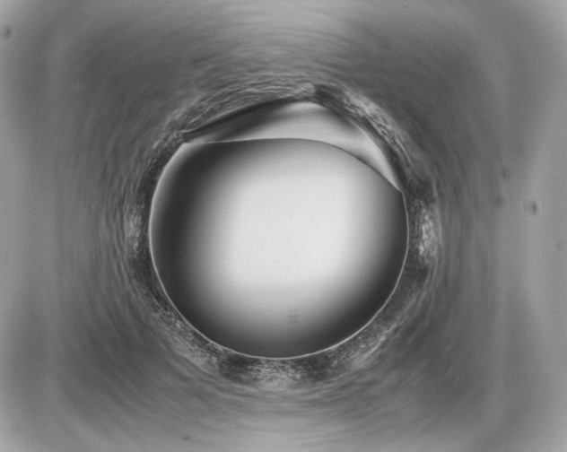X0000086960697200704161519