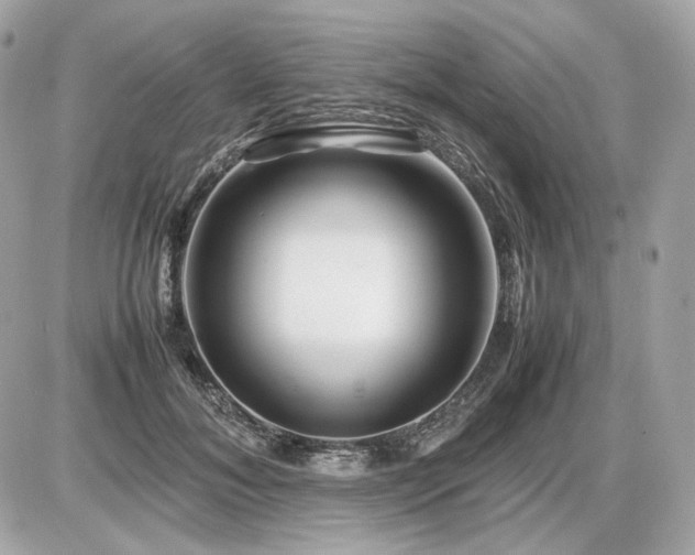 X0000086960700200704161519