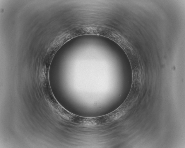 X0000086960702200704161519