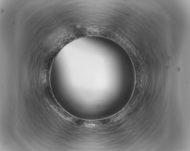 X0000086960706200704161519