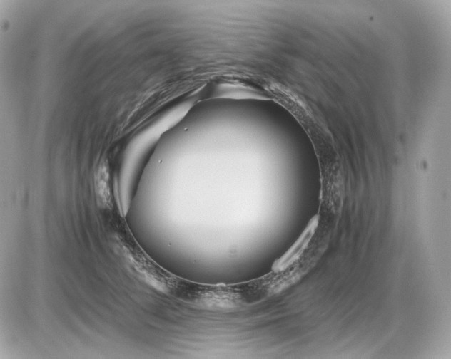 X0000086960708200704161519
