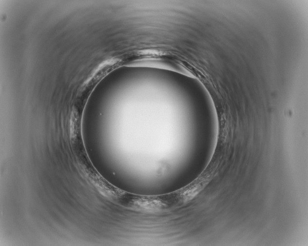 X0000086960712200704161519