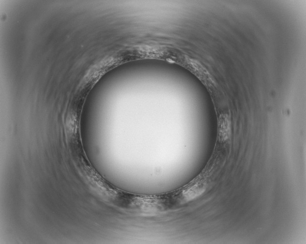 X0000086960713200704161519
