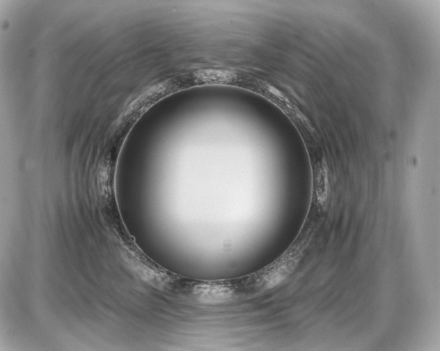 X0000086960714200704161518