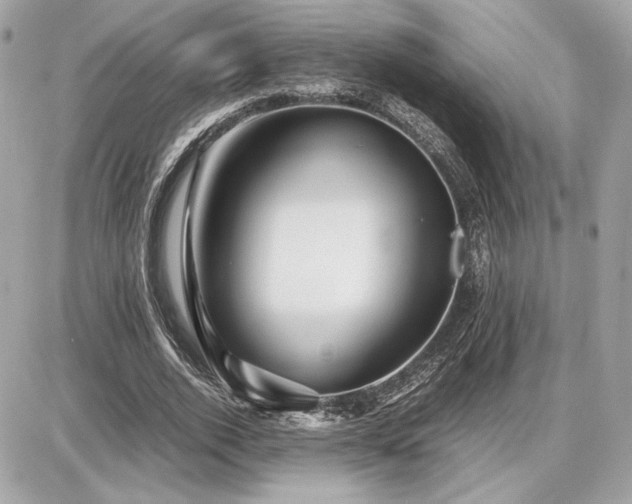 X0000086960728200704161518