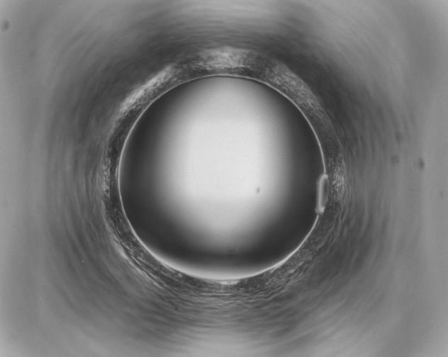 X0000086960732200704161518
