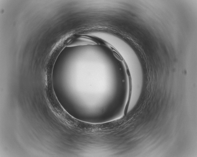 X0000086960734200704161518