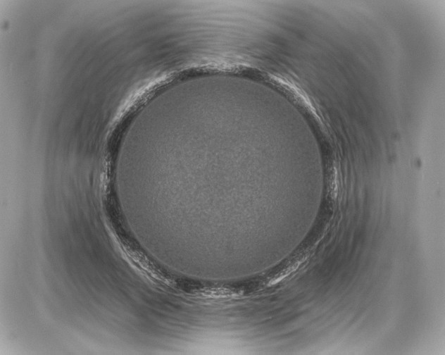 X0000086960736200704161518