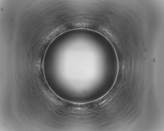 X0000086960737200704161518