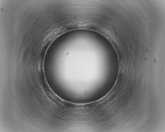 X0000086960740200704161518