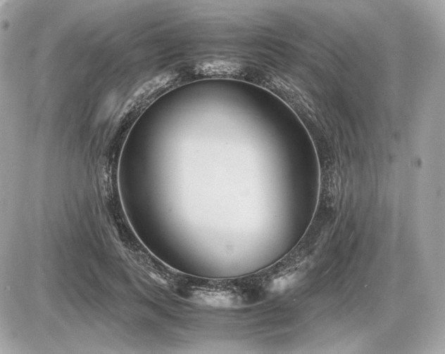 X0000086960743200704161518